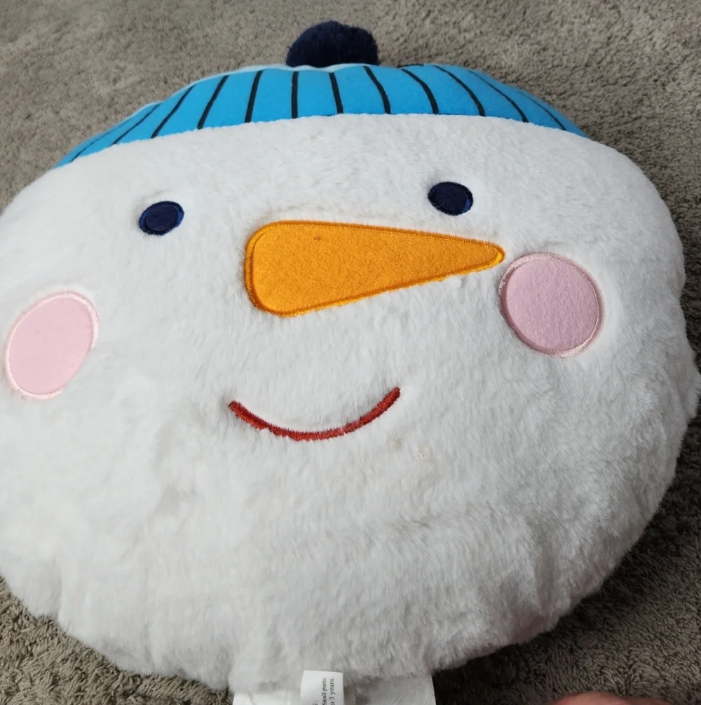 Wondershop reversible santa